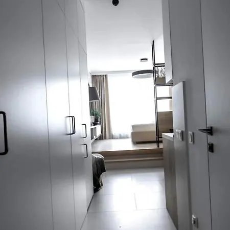 Luxury Apartment In Town